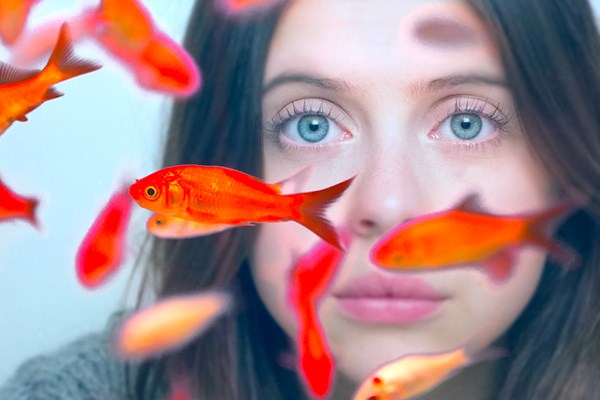 (C)2016 CARRIE PILBY PRODUCTIONS, LLC. ALL RIGHTS RESERVED.