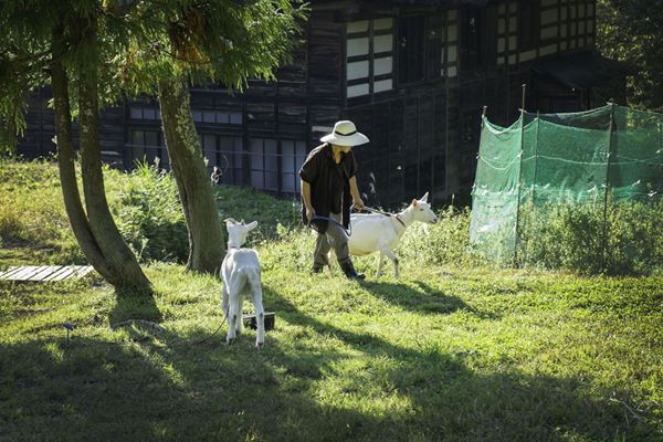 (C)ポレポレタイムス社