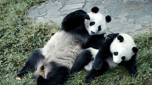 /shared/materials/8e60ad1d-e20c-404a-8c98-fa96080121c9/thumbnail