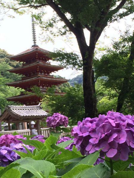 提供：奈良　長谷寺