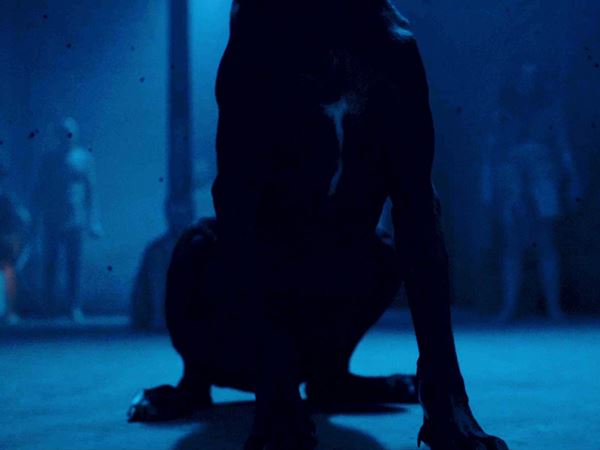 (C)Samson Films Limited 2016