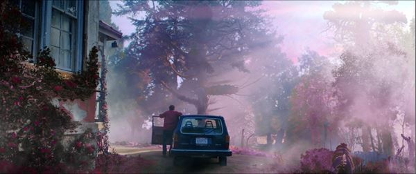 (C) 2019 ACE PICTURES ENTERTAINMENT LLC. All Rights Reserved