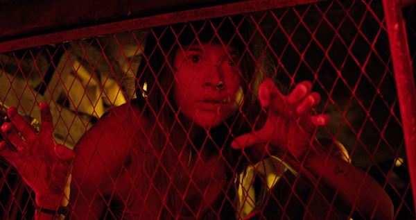 (C)French Post Apocalyptic Film