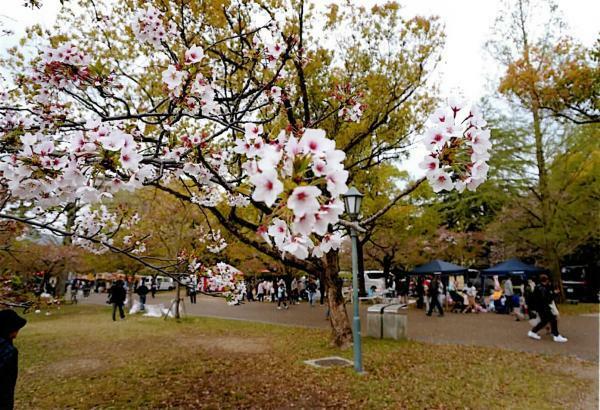 ※過去の様子