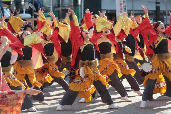 提供：ふくろ祭り協議会