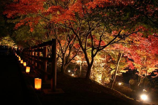 夢・彩・発見 ふじおか紅葉まつり  ぴあエンタメ情報