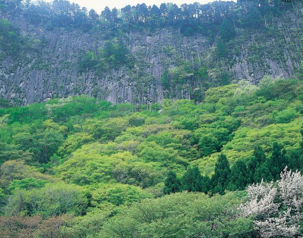 屏風岩公苑