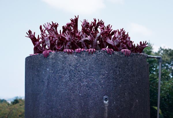 /shared/materials/961983b1-2aa4-4f49-8bd3-6e7f302bcab8/thumbnail