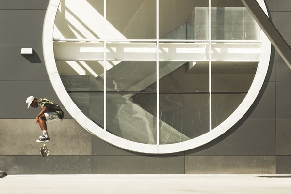 (C)2016, Made To Stray Film, llc   All Rights Reserved.