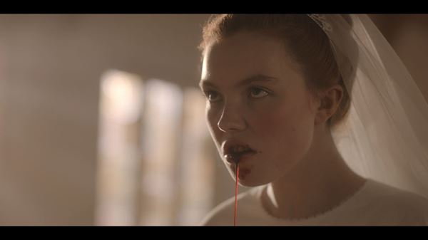 (C)2018 BY LITTLE BITER LLC. ALL RIGHTS RESERVED