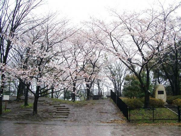 提供：公益財団法人東京都公園協会