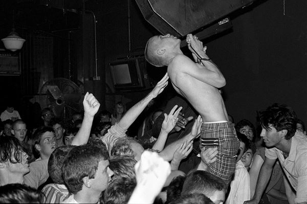 (C)2014 New Rose Films, LLC