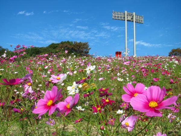 （c）神戸総合運動公園