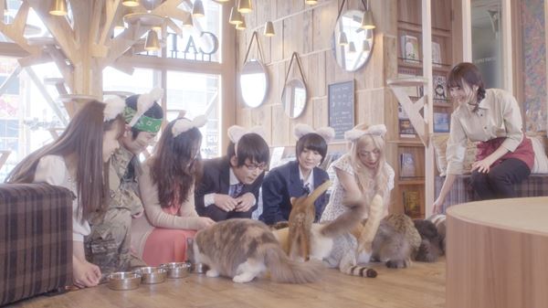 (C)2018「猫カフェ」製作委員会