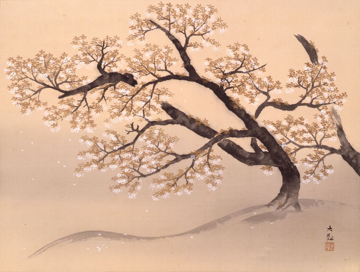 横山大観 《山桜》 1934(昭和 9)年 絹本・彩色 山種美術館