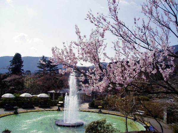 提供：箱根登山鉄道株式会社