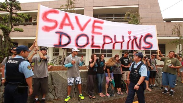 (C)「おクジラさま」プロジェクトチーム