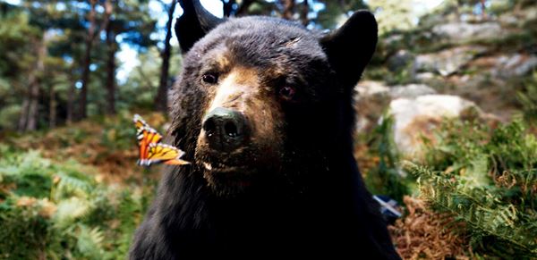 (C)2022 UNIVERSAL STUDIOS