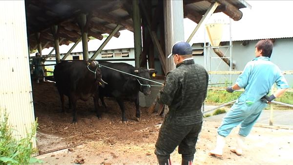 (C)タキシーズ2012