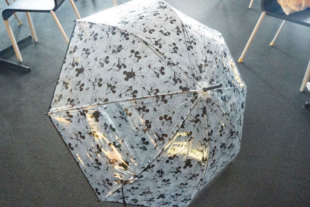 ディズニー「RAINY DAY」コレクション、2025年の新作傘を写真たっぷり