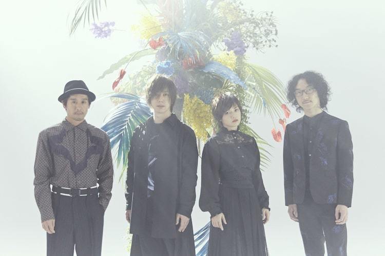 FLOWER FLOWER新作アルバム詳細発表、odol・ミゾベリョウが2曲参加