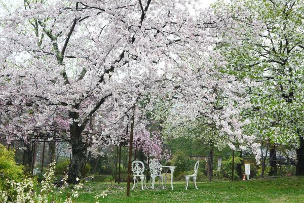 （c）西宮市北山緑化植物園