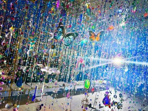 (c)mika ninagawa, Courtesy of Tomio Koyama Gallery ※展示イメージ
