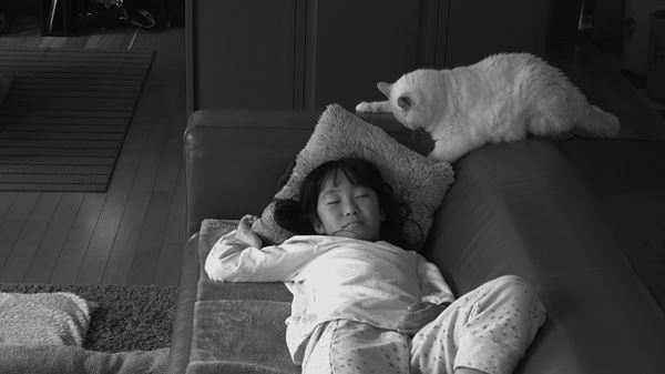 (C)2018 FOOLISH PIGGIES FILMS