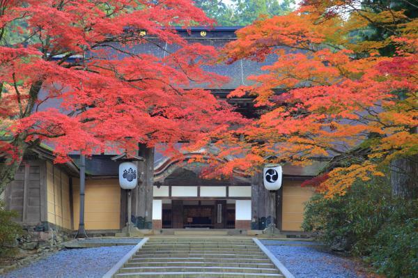 提供：公益社団法人和歌山県観光連盟