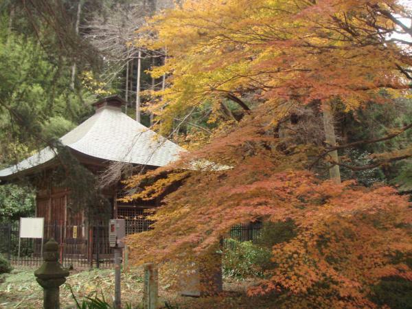 提供：慈光寺