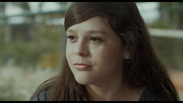 (C)2020 Campo Cerrado All Rights Reserved.