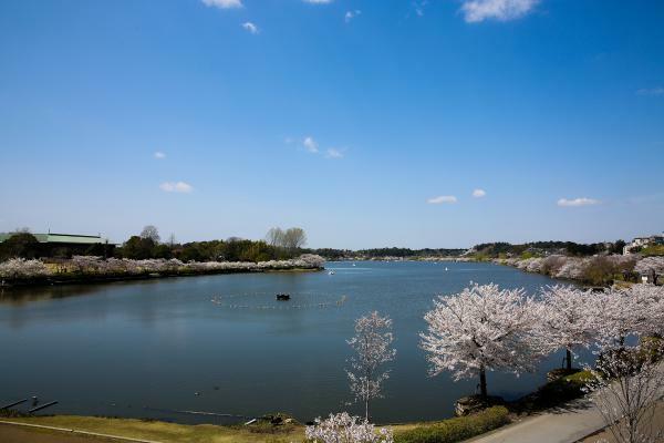 千波湖(千波公園)
