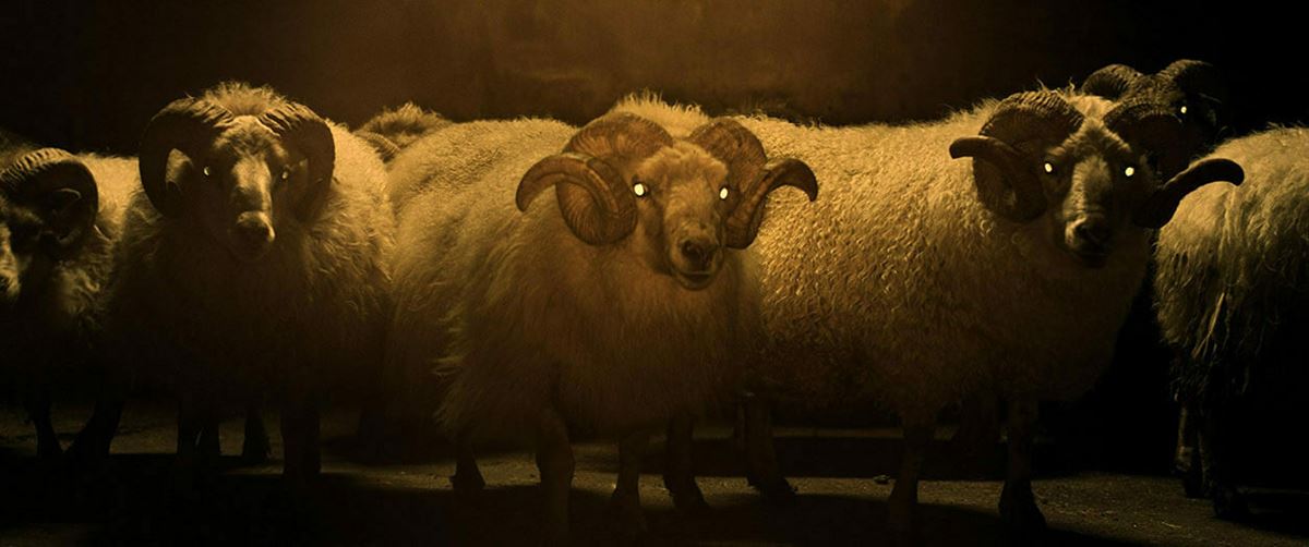 『LAMB／ラム』　(C)2021 GO TO SHEEP, BLACK SPARK FILM &TV, MADANTS, FILM I VAST, CHIMNEY,RABBIT HOLE ALICJA GRAWON-JAKSIK, HELGI JOHANNSSON