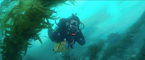 (C)Amazon MGM Studios　(C)2025 Amazon Content Services LLC