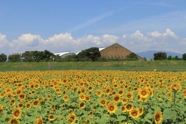 提供：大垣市