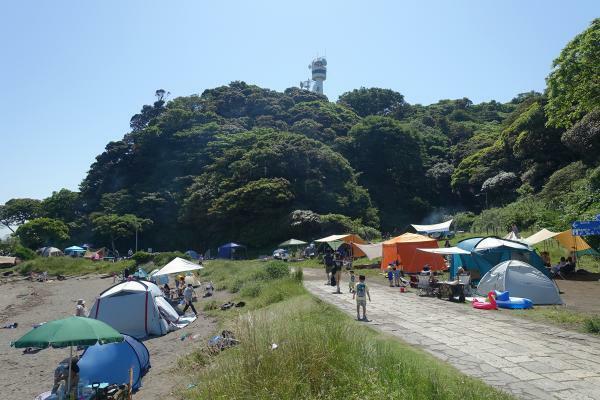 提供：観音崎公園パークセンター