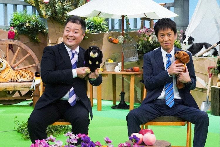 ブラマヨ吉田 ハライチらモフモフ好きが集合 動物の気持ち想像してアテレコ ぴあエンタメ情報