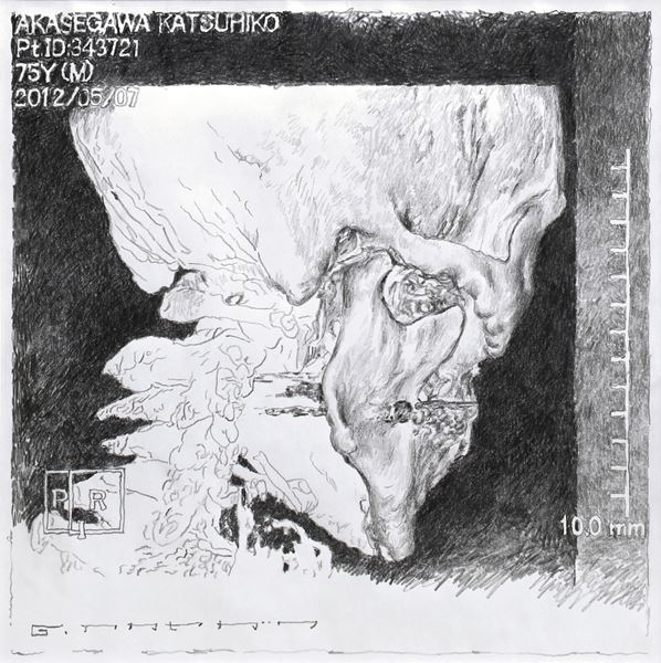 自画像：Reflections