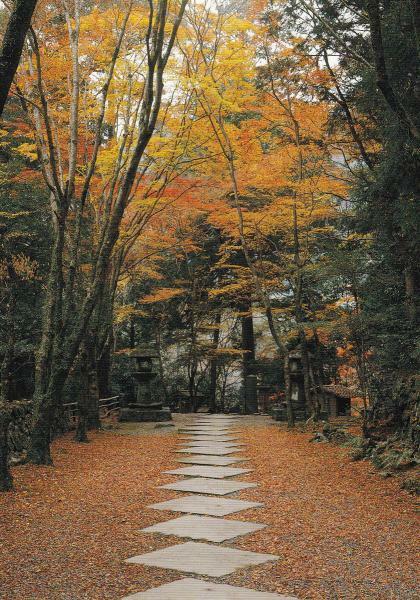 提供：栂尾山高山寺