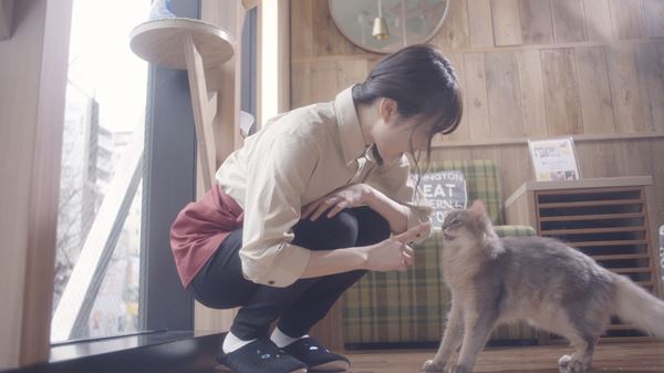 (C)2018「猫カフェ」製作委員会