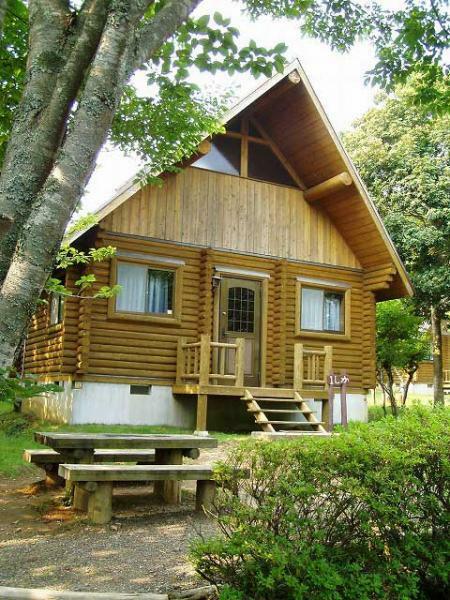 提供：内浦山県民の森