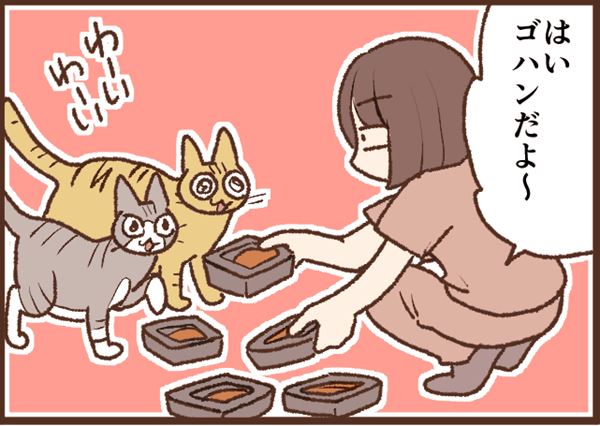 新品★TDR限定品★ルームウエアセット★ジェラートピケ★ダッフィー★長袖 愛らしく寝ている“ダッフィー＆フレンズ”がデザインされた