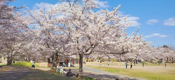 提供：けいはんな記念公園