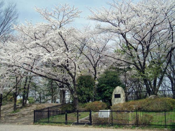 提供：公益財団法人東京都公園協会