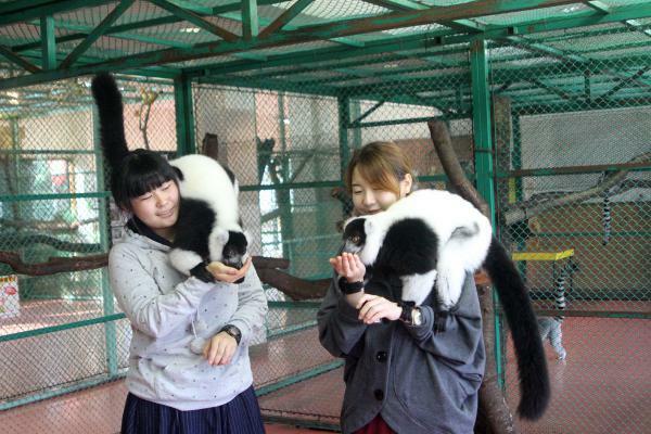 那須ワールドモンキーパーク