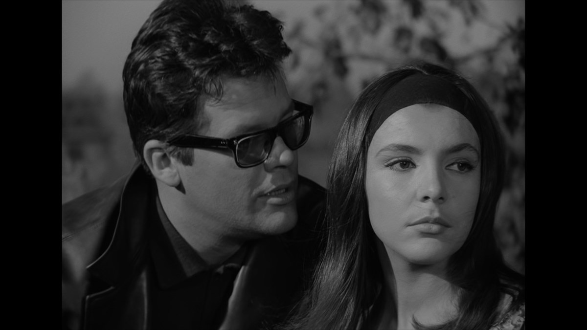 サルト・画像・写真 ぴあ映画