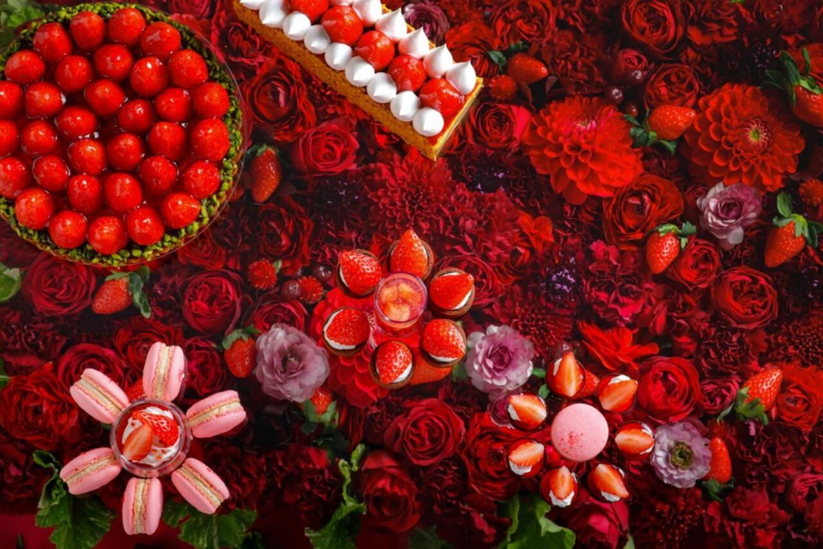 スイーツです スイーツ好き です。 スイーツです。 スイーツです。 スイーツです