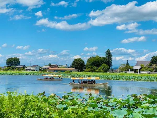 提供：館林市観光協会