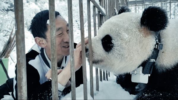 /shared/materials/baf46e95-05fa-4b41-9fa1-3e65cfe4eb6b/thumbnail