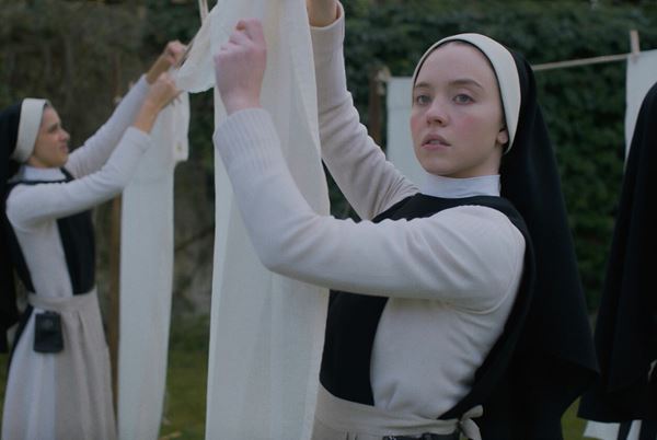 (C)2024, BBP Immaculate, LLC. All rights reserved.